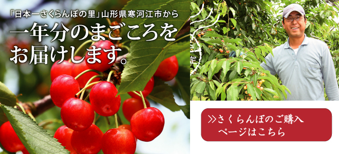さくらんぼのご購入はこちら