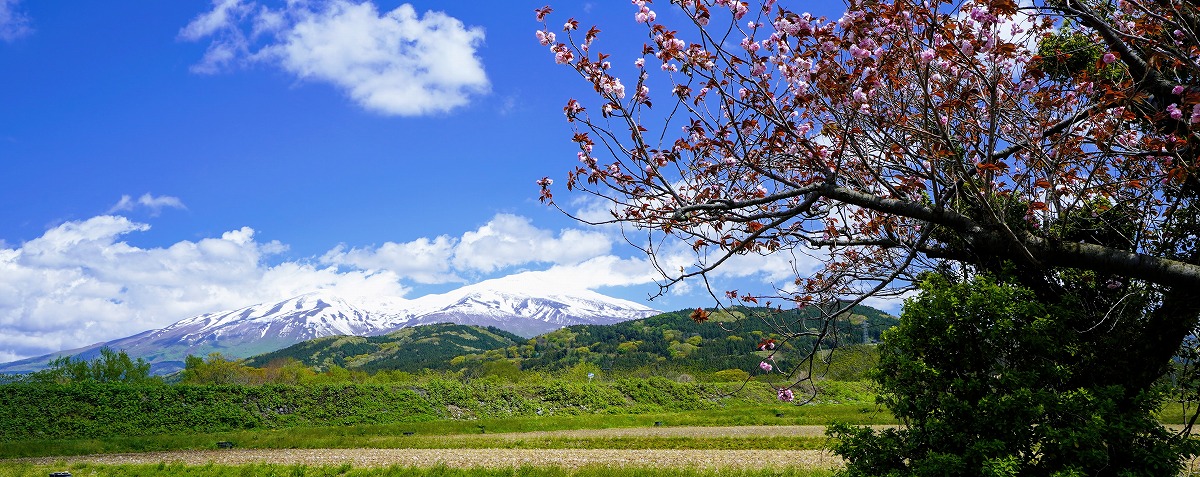 鳥海山の種まきおじさん