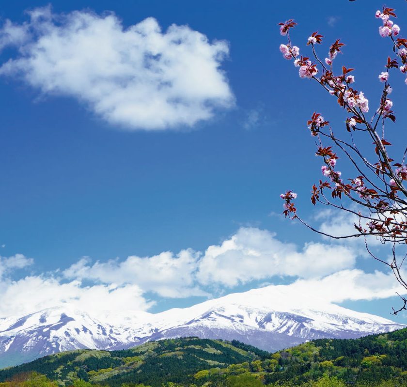 ５月残雪映える鳥海山